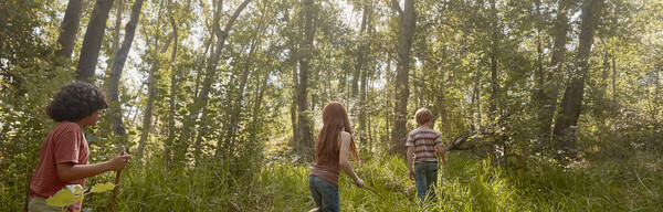 Barn springer i skogen